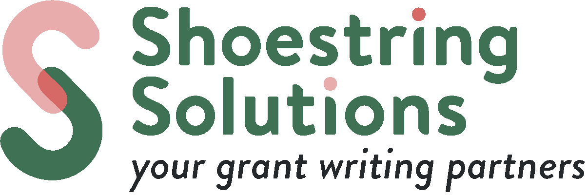 Shoestring Solutions for Non-Profits